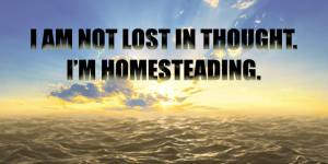 Homesteading